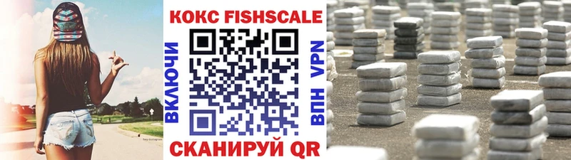 Купить закладки  Новомичуринск  COCAIN Fish Scale 
