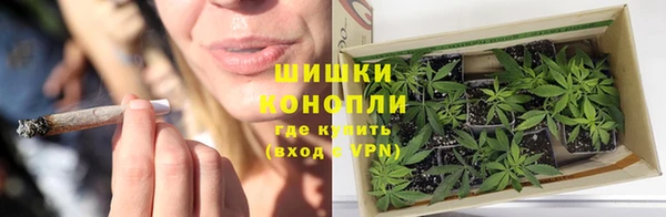 стафф Мегион