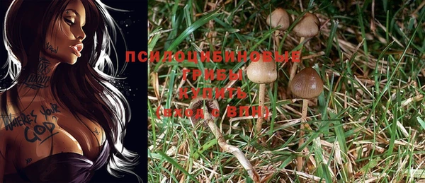 стафф Мегион
