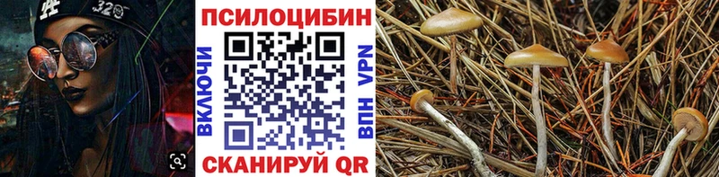 Купить закладки  Новомичуринск  Галлюциногенные грибы мухоморы 